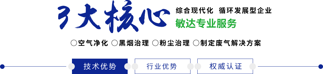 大鸡巴干死我视频网址敏达环保科技（嘉兴）有限公司